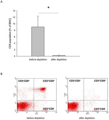 Enhancement of a one-step membrane technique for the treatment of large bone defects by pre-seeding the membrane with CD8 lymphocyte depleted bone marrow mononuclear cells in a rat femoral defect model